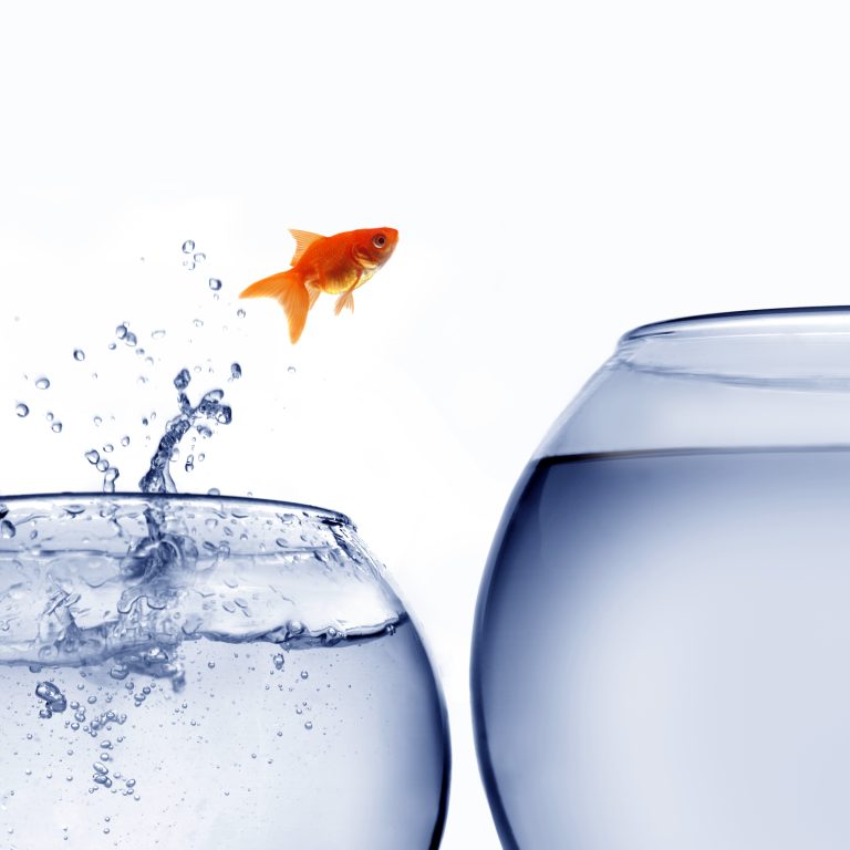 faith and risk  strategic planning that will amaze jesus